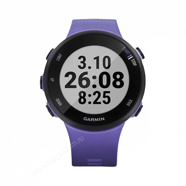 Часы Garmin Forerunner 45S ирис