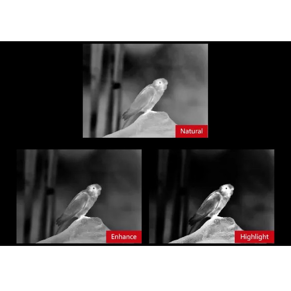 Тепловизионный прицел TU650 Тепловизионный прицел TU650